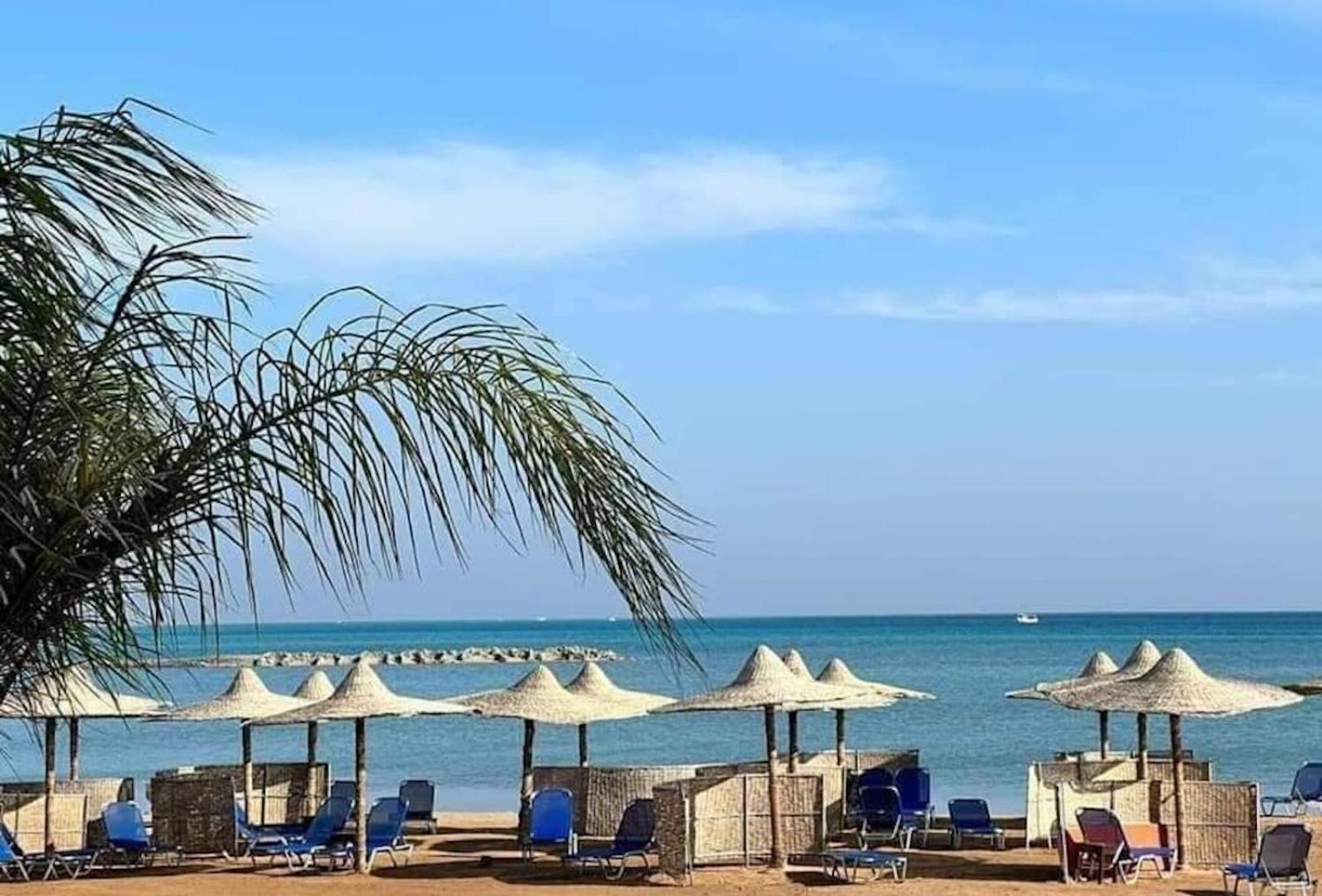 Comfort Zone At Turtles Beach Resort Хургада Экстерьер фото